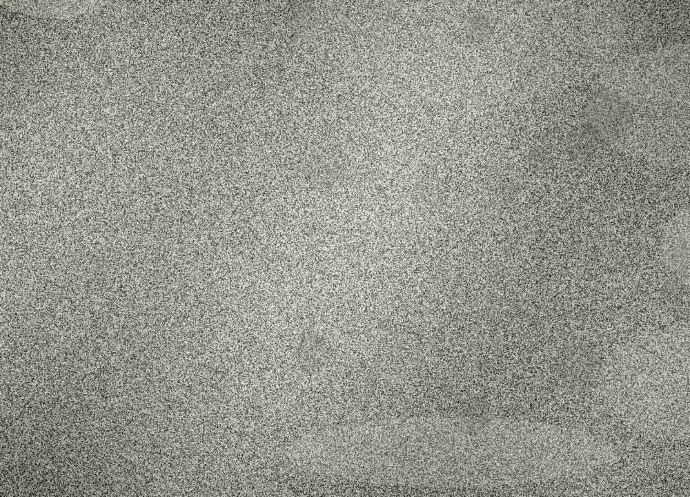 17c品牌影像枯枝留白